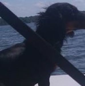 Meet your Posher, Barbara